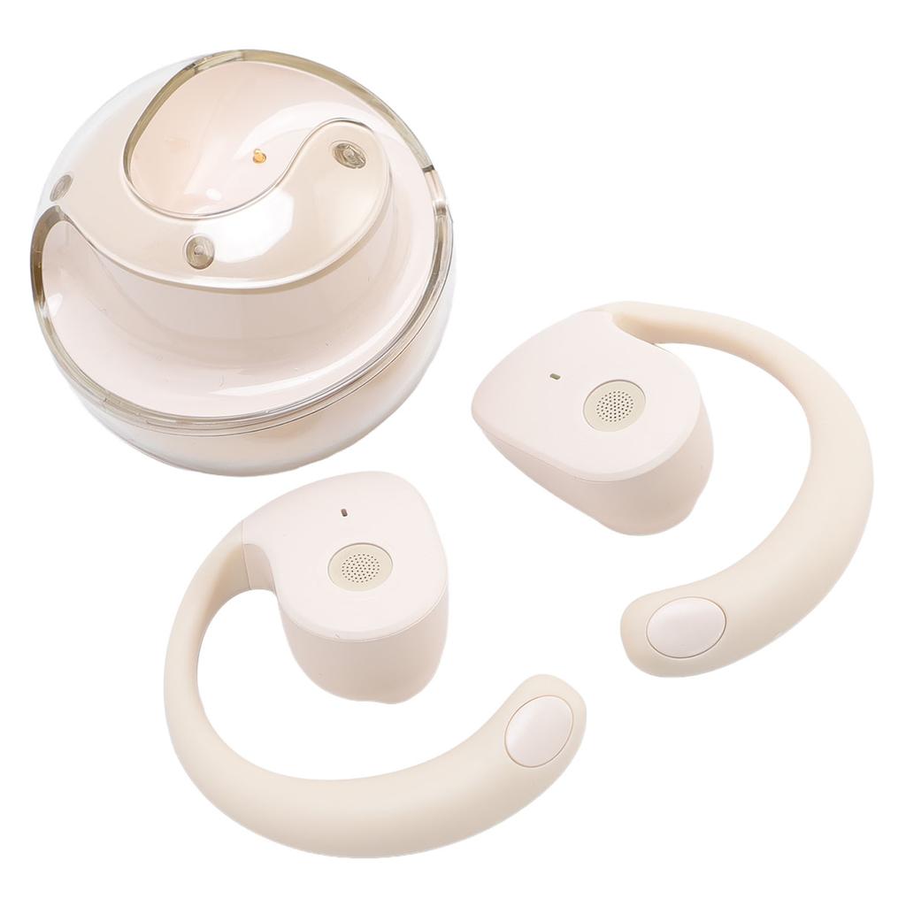 AI Language Translation Earbuds 80 Languages 14 Accents Real Time Translator Device Noise Cancelling