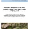 SKIN 1004 - Madagascar Centella Hyalu-Cica Moisture Cream Bundle Set