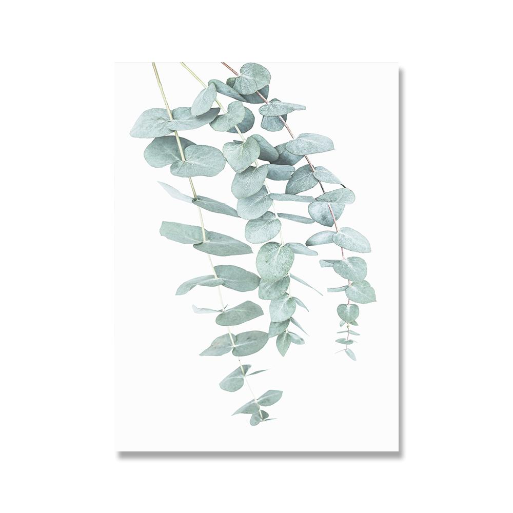 Eucalyptus Posters Botanical Canvas Painting Farmhouse Wall Decor Minimalist Art Pictures Bedroom Decoration Scandinavian Decor No Frame