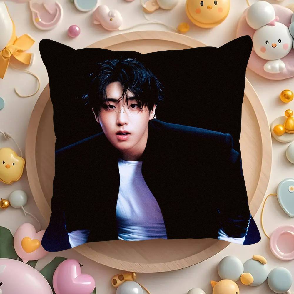 Pillowcases cushion covers living room sofas home decor gifts Korean singer H-Han Ji COOL Sung