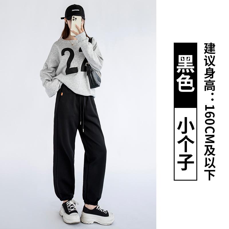 Grey Sweatpants Women's Loose Leggings New Spring and Autumn Casual and Thin Harlan Pants Small Sweatpants
