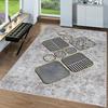 Washable Printed Carpet LNA0057-SD1174