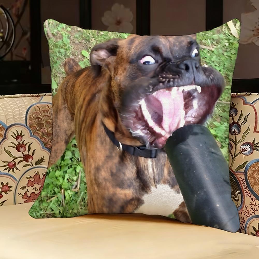 Dog Funny MEME Pillow Case Pillowcase Doublesided Printed Sofa Cushion Bedroom Headboard Pillow