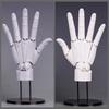 Super Movable 1:1 Hand Model, Finger Joint, Bionic, Painting Plain Art, Model Ornament Boxed Figure