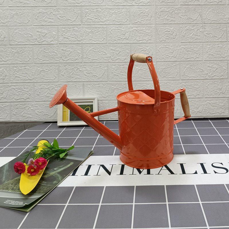 Large-Capacity Dual-Use Iron Watering Can: Ideal for Home Flower Care, Vegetable Planting, and Gardening Spraying.