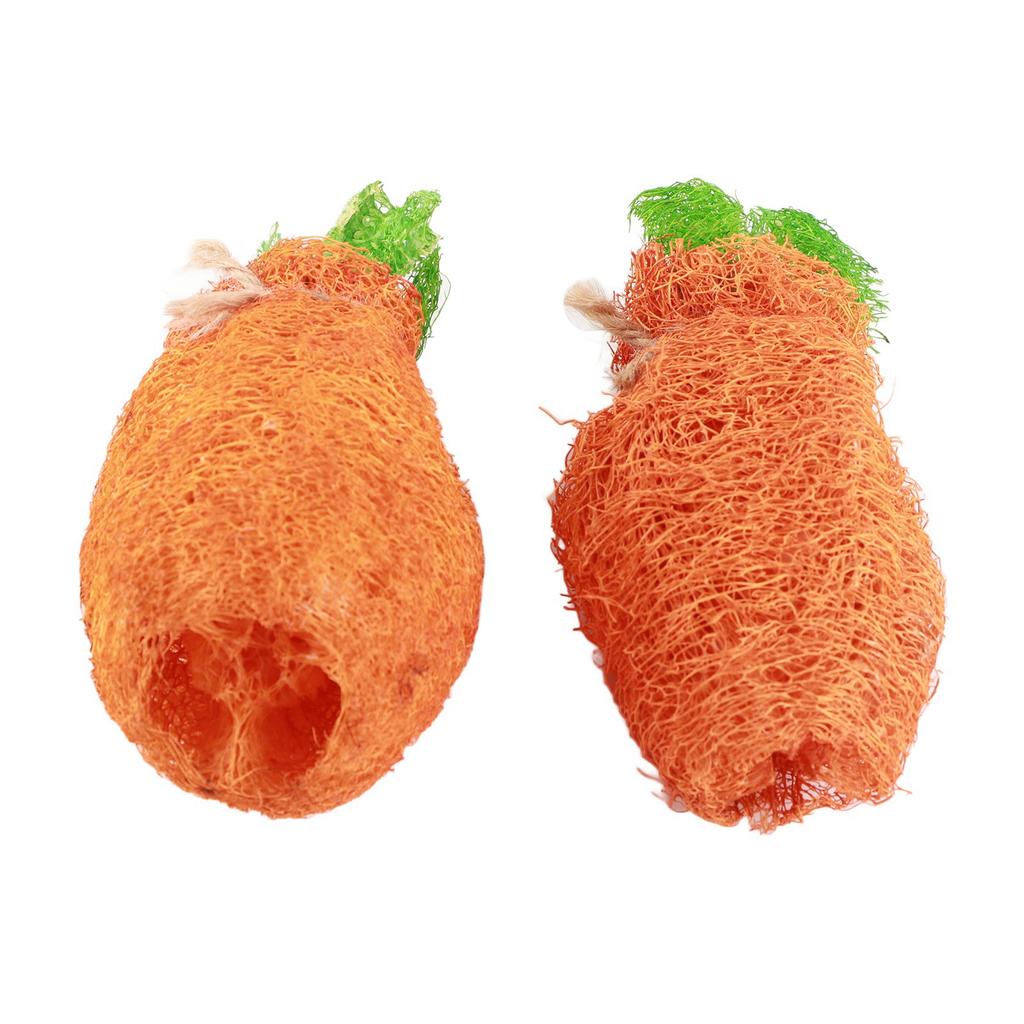 2 szt. Królik Marchewka Gryzak do Czyszczenia Zębów Lufa Królicze Zabawki ze Sznurkiem dla Królika Chomika