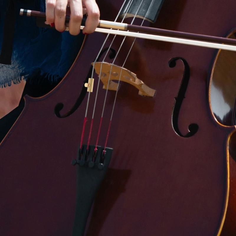 2Pcs Tone Mutes Suppressor Enhances Sound Quality For Musicians And Students Professional Cello Wolf Tone Eliminators