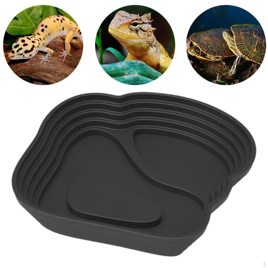 And Turtles Dish