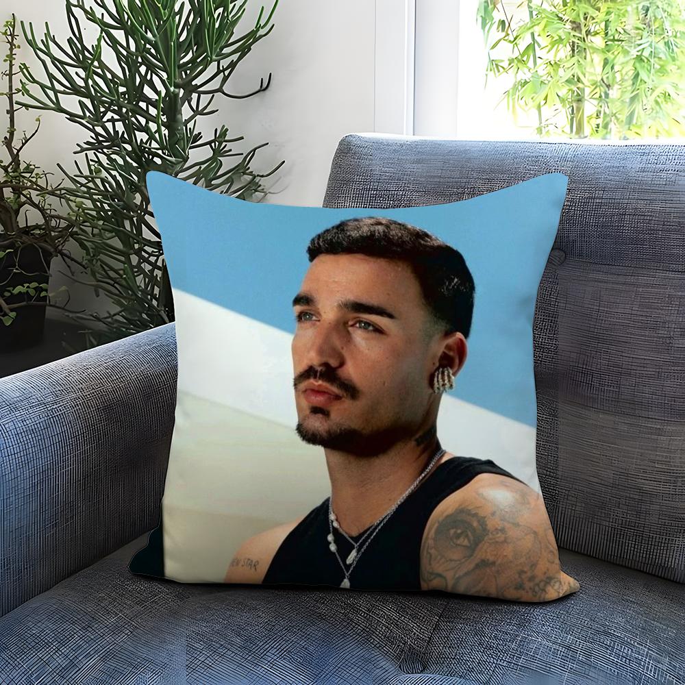 Singer D-Daniel A-Avery Kissenbezug Bequem Wendbarer Kissenbezug Ideal für Auto Sofa Schlafzimmer & Mehr