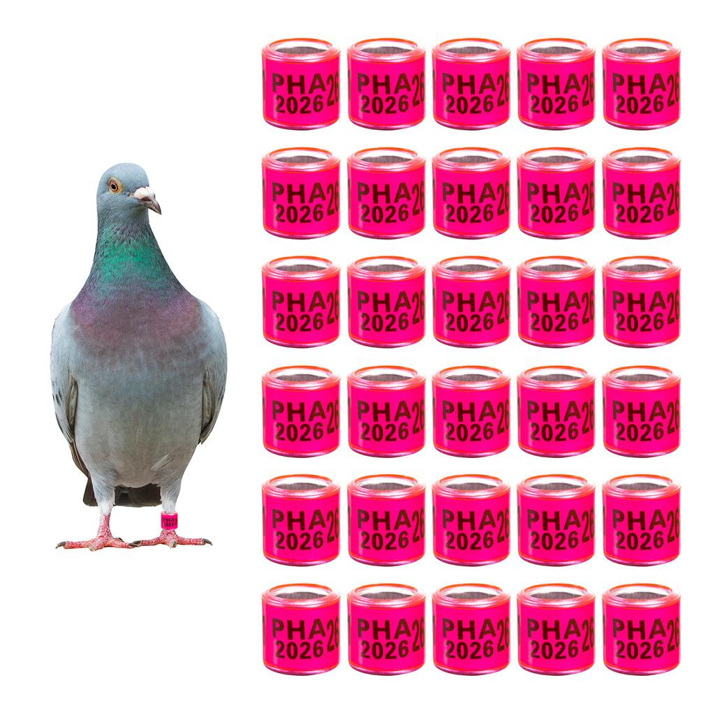 PHA 2026 Pigeon Foot Rings Inner Diameter 8mm Aluminum Plastic Bird Parrot Quail Leg Rings with Number Multi-colors 1 Pack/50Pcs