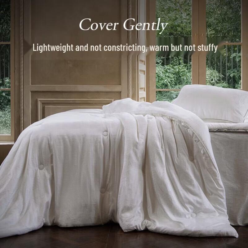 Aimeijia Cloud-Feel Warm Thickened Mulberry Silk Winter Quilt