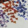 Butterfly Laser Maple Leaf Sequin Nail Art DIY Kit