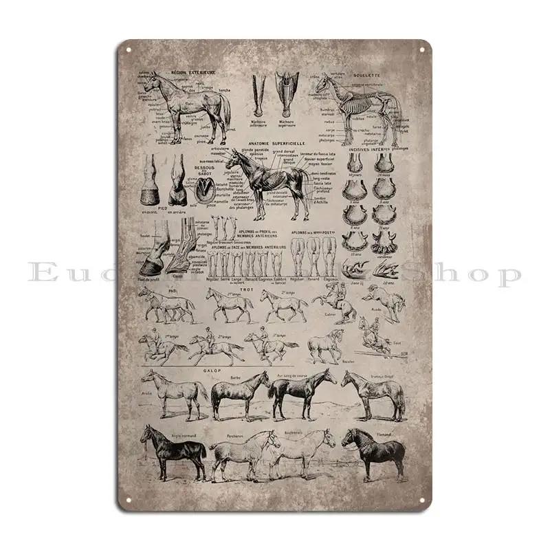 Koňská kosterní anatomie Veterinární nástěnný plakát Průvodce anatomií Kovová deska Dekorace stěny obývacího pokoje nebo hospody Železný plechový znak Plakát