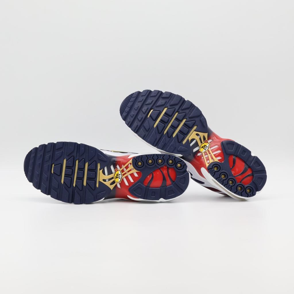 FZ4776-100 Nike Air Max Plus Paris Saint Germain (Erkeklerin)
