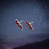 Natural Garnet 925 Sterling Silver Stud Earrings: Minimalist Red Jewelry