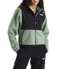 THE NORTH FACE DENALI Jacket Women's (Unisex) Jackets NF0A88YR | Slate Moss / Black