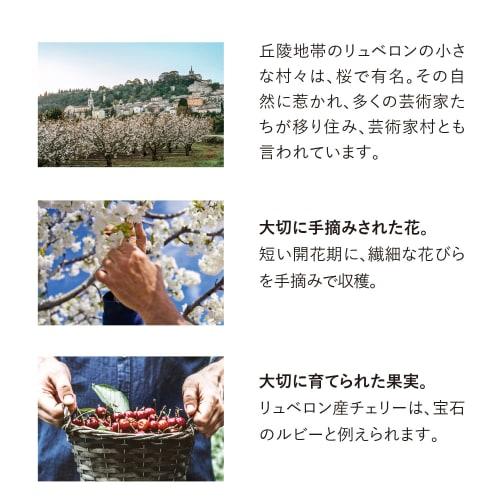 L'OCCITANE Cherry Blossom Hand Cream (Boxed) - Perfect for birthdays, celebrations, thank you gifts, farewell gifts, and other small gifts.