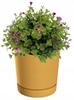 Mustard Flowerpot with Saucer 17.8 Cm Tubo