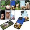Cute Pig funny Phone Cover Case for Samsung Galaxy A36 A17 A26 A07 A35 A54 A53 A13 A33 A34 S8 S9 S20 S21 FE S10 Plus Casing