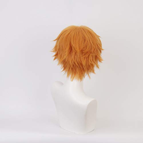 Eileen Żaroodporna Peruka Cosplay, Hanako-kun z Toalety, Peruka Minamoto Mitsuru, Peruka Kostiumowa do Przebrania