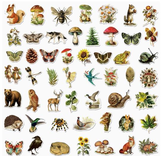 50 Pcs Nature Scenery Sticker Set, Decals for Scrapbooking, Journaling, DIY Crafts, Home Decor
