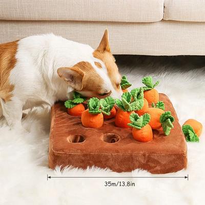 Hunde – Hundespielzeug