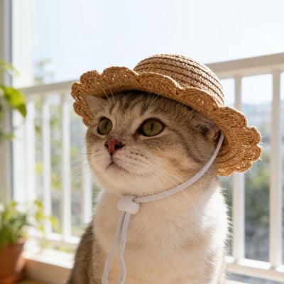 Hundhalmhatt Söt Justerbar Husdjur Vävhatt Hund Dekorativ Hatt Fotorekvisita Hund Katt Solskyddshattar Springa Halmhatt För Liten Hund Katt