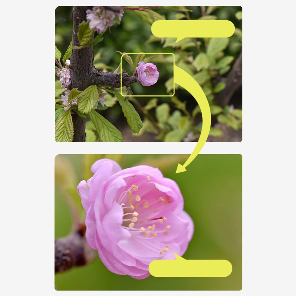 Homyl Filter Kit 1 2 4 10 Macro Conversion Lens with Lens Filter Pouch for Digital Camera Professionals 67mm 4-Piece Close-Up + + + + -