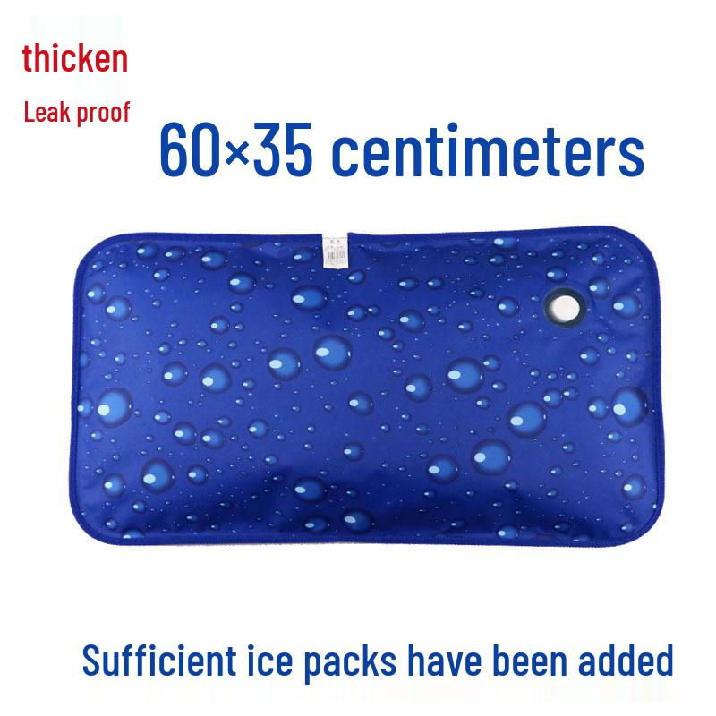 Large Water-Filled Cooling Ice Pillow for Adults & Students