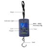 Portable 40kg/10g Electronic Hanging Fishing Digital Pocket Weight Hook Scale Kitchen Black Digital Weighing Tools