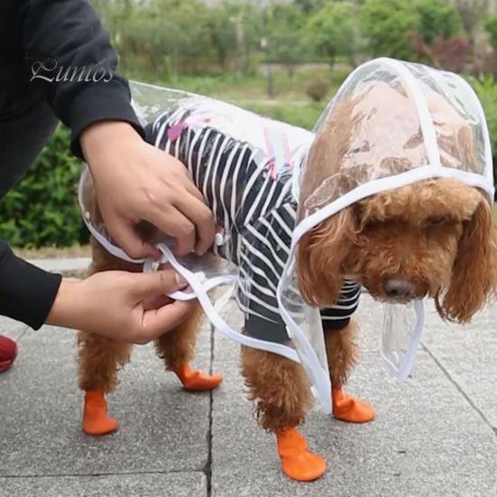 Vêtements de pluie transparents pour animaux de compagnie Imperméable Boutons-pression Capuche Minimaliste Réglable Chien Coupe-vent Doux Équipement de pluie Fourniture