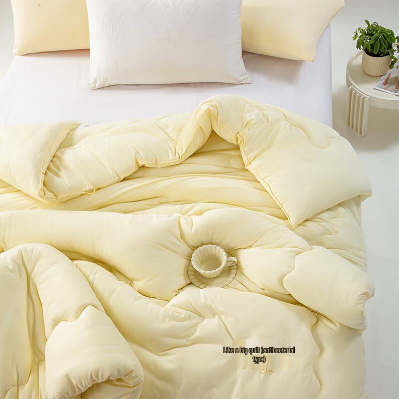 Crown Muyi T3434 Soybean Fiber All-Season Quilt