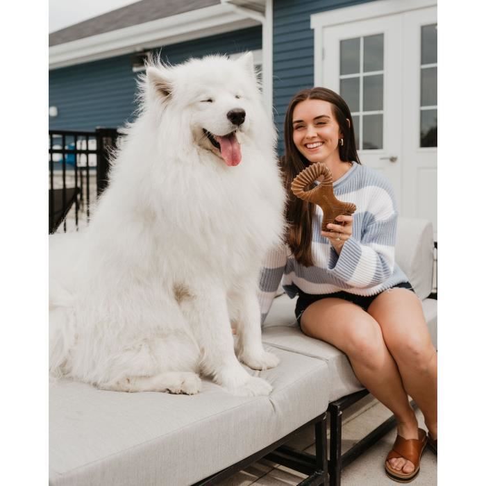 Benebone - Jouet à mâcher dentaire pour chien adulte, Taille M, saveur bacon