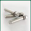 Lijiu Hong Stainless Steel Expansion Bolt