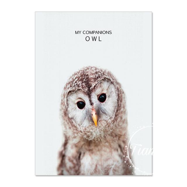 Animal Decoration Sheets Picture Wall Art Poster Children's Canvases Room Paintings For Nursery Decorative Prints Wall Posters No Frame