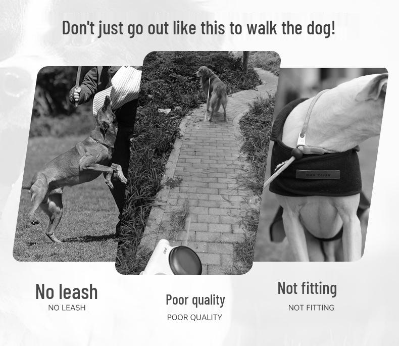 Adjustable Vest-Style Anti-Pull Dog Harness & Leash for Medium To Large Dogs