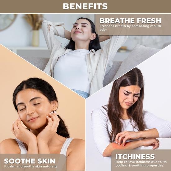 100% Pflanzliches Pfefferminz-Ätherisches Öl für Haarwachstum | Vertreibt Ratten & Ameisen auf natürliche Weise | Reines & Bio-Pfefferminzöl für Lippen, Haut & Aromatherapie