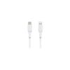 BELKIN - cable - PVC C-LTG 1M, WHT - PVC C-LTG 1M,