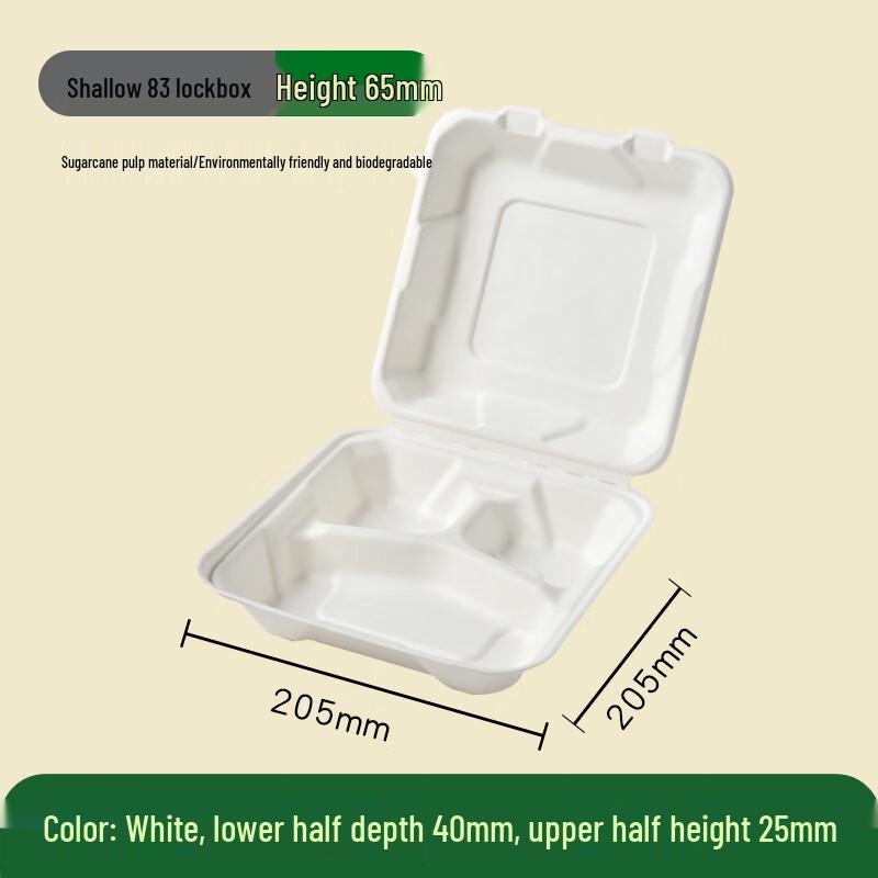 Biodegradable Sugarcane Pulp Food Container 100 pcs