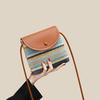 Luggage Contrasting Color Striped Dumpling Bag Women's New Seaside Vacation Bag Niche Hand-woven Messenger Bag