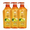 Pehcha Ingwer Haarstärkendes Shampoo (2x600ml)