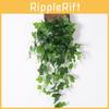 Silk Epipremnum Aureum Plant Leaf Wall Hanging For Home Hotel And Event Backdrops With Realistic Greenery Appearance