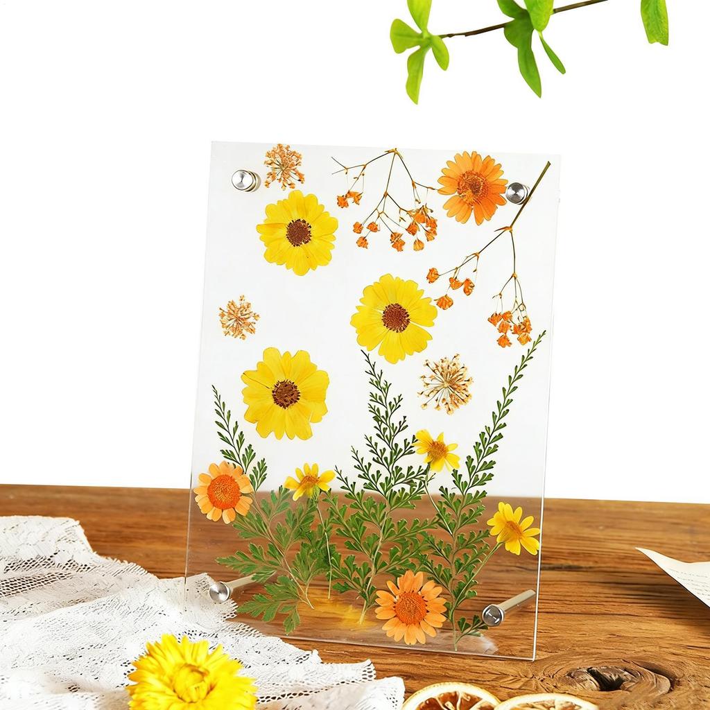 Pressed Flower Frame Acrylic Keepsake Home Decor Dried Flowers Display Photo Frames For Home Living Room Kitchen Bathroom Office