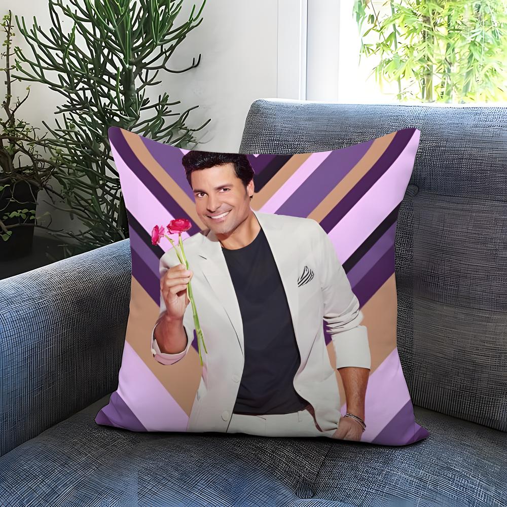 Fashion C-CChayanne Cushion Cover Comfortable Reversible Pillow Cover Ideal for Car Sofa Bedroom & Beyond