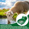 Goat Waterer Livestock Waterer For Sheep Dog Piglet Calf Horse Farm Water Troughs For Livestock Automatic Water Bowl