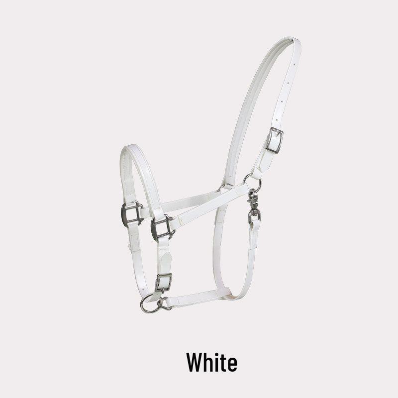 TPU Adjustable Durable Horse Halter and Leading Equipment