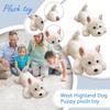 Cães – Brinquedos para cães