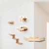 Corner Mounted Cats Shelving System Vertical Climbings Shelf Space With Reinforced Wood Panel Secure Wall Installation