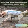 Abbigliamento e scarpe – Gilet e camicie per cani