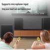 SAST A11 Home KTV Multimedia Speaker System CN plug (adapter included)